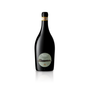 CASA GRAZIA BRUNETTI D'OPERA ROUGE 2019 CERASUOLO DI VITTORIA CLASSICO DOCG   75CL BIO