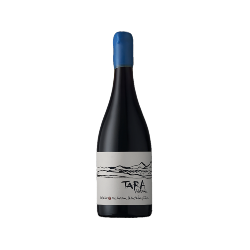 DOMAINE VENTISQUERO TARA DESERT DE ATACAMA SYRAH CHILI ROUGE 2016 75 CL