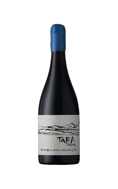 DOMAINE VENTISQUERO TARA DESERT DE ATACAMA SYRAH CHILI ROUGE 2016 75 CL