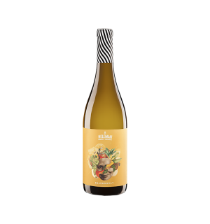 NELEMAN SINGLE VINEYARDS CHARDONNAY SPAIN BIO 75 CL