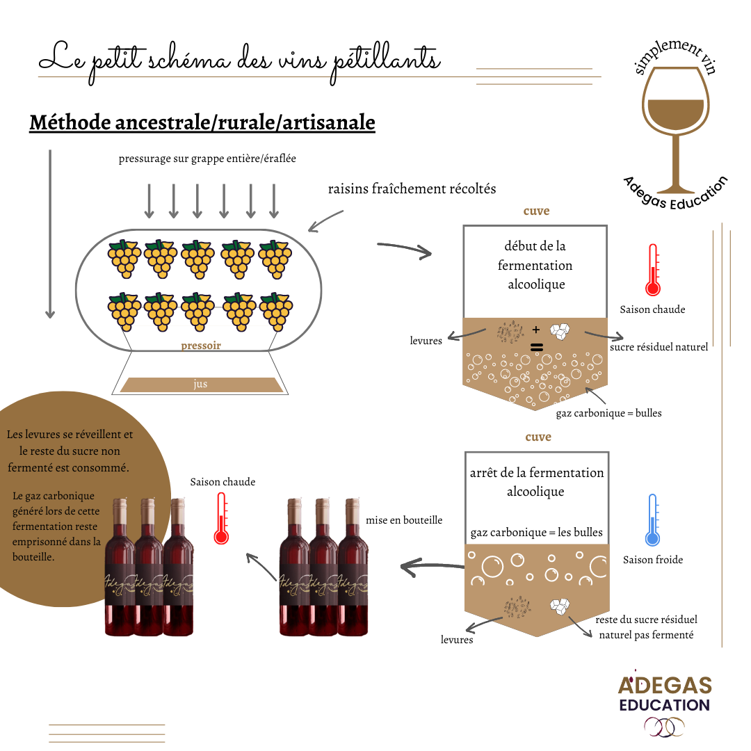 Le petit schéma des vins pétillants - simplement vin