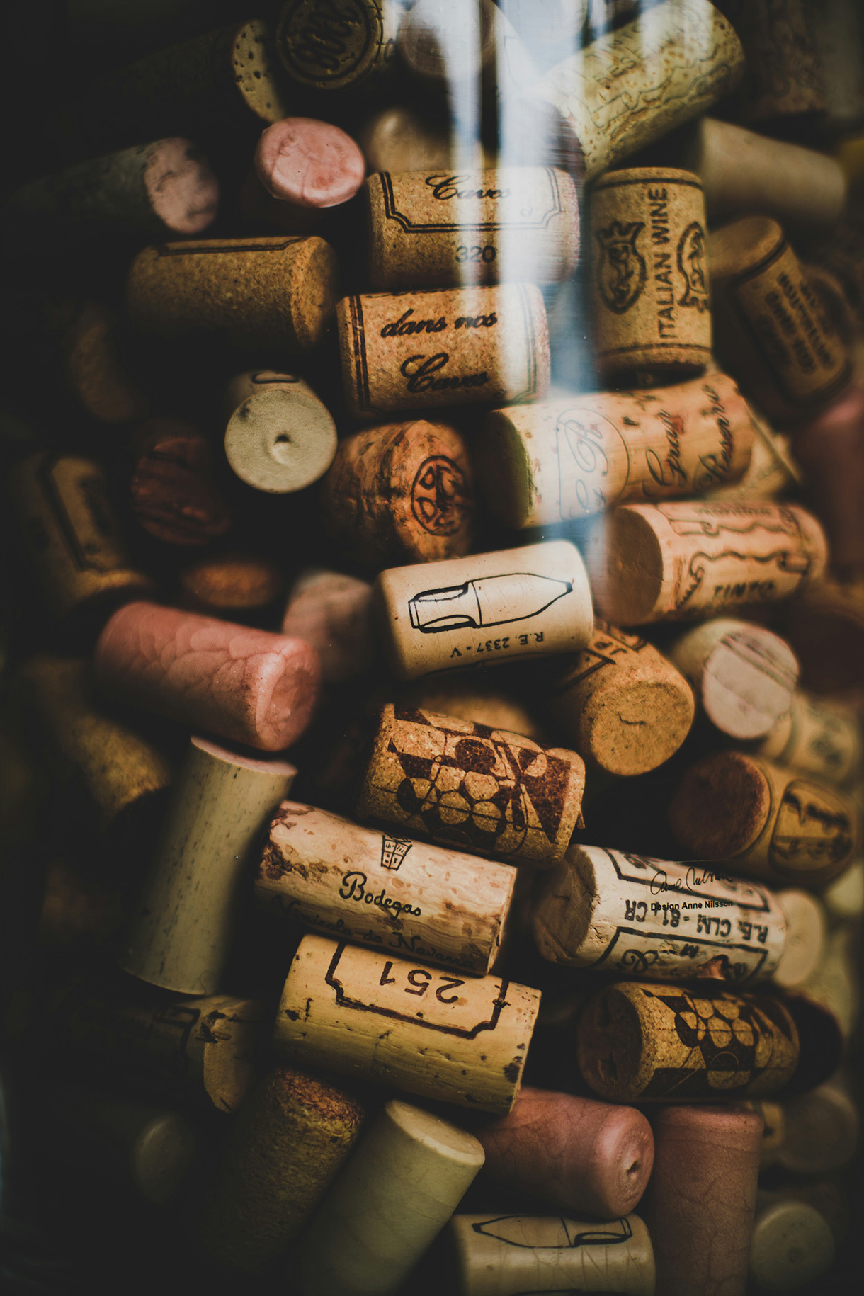 Le Grand Atlas des Bulles - Curiosités du Vin 
